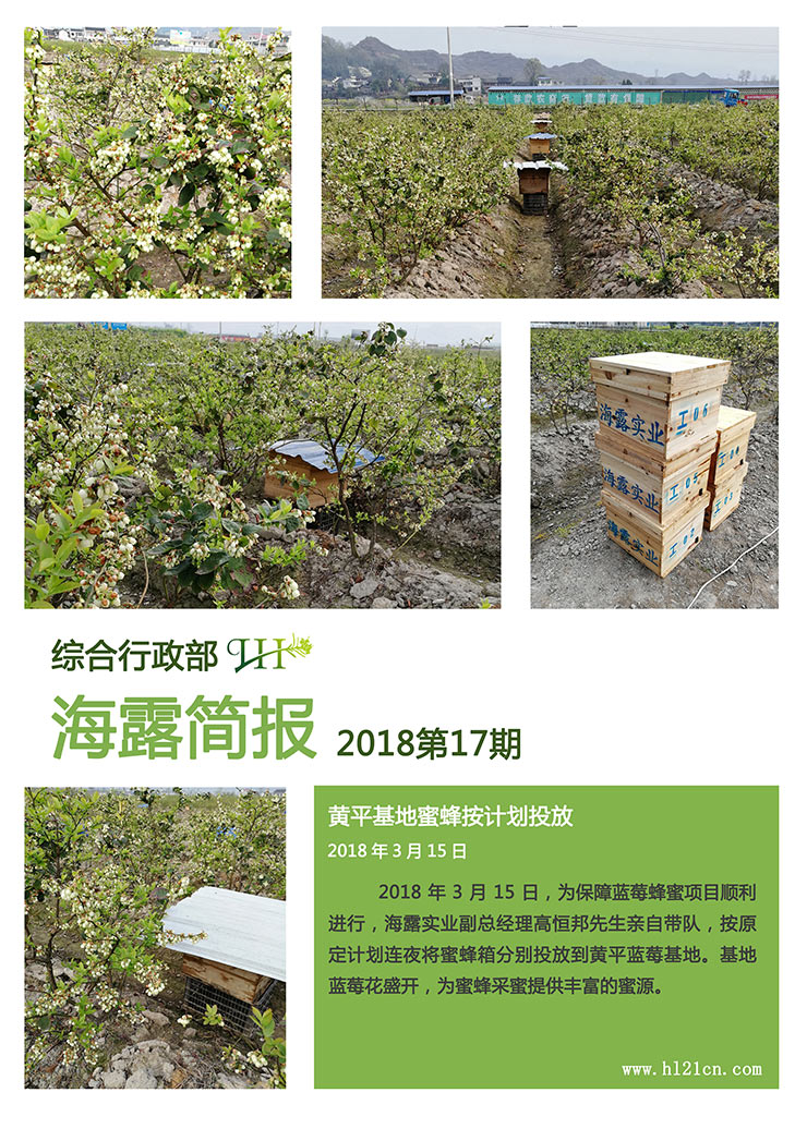 bat365(中国)在线平台官方网站-登录入口