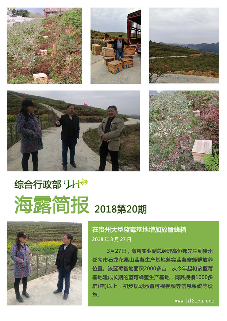 bat365(中国)在线平台官方网站-登录入口