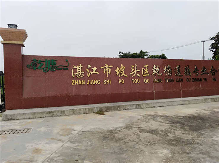 bat365(中国)在线平台官方网站-登录入口