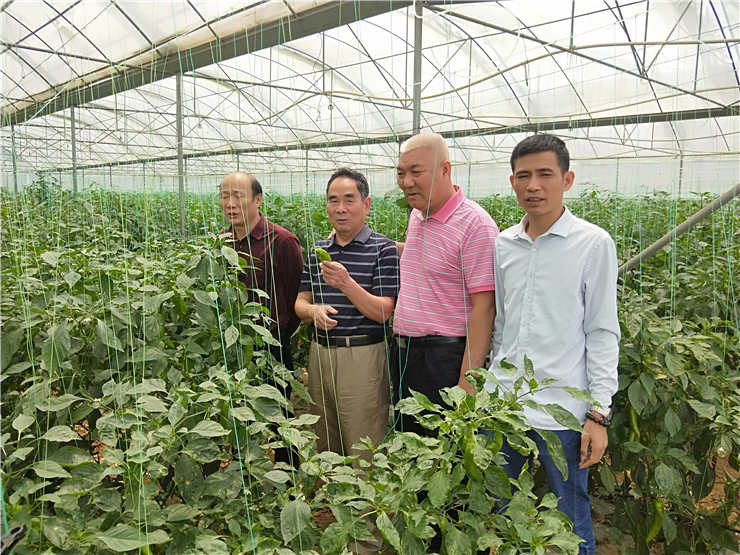 bat365(中国)在线平台官方网站-登录入口