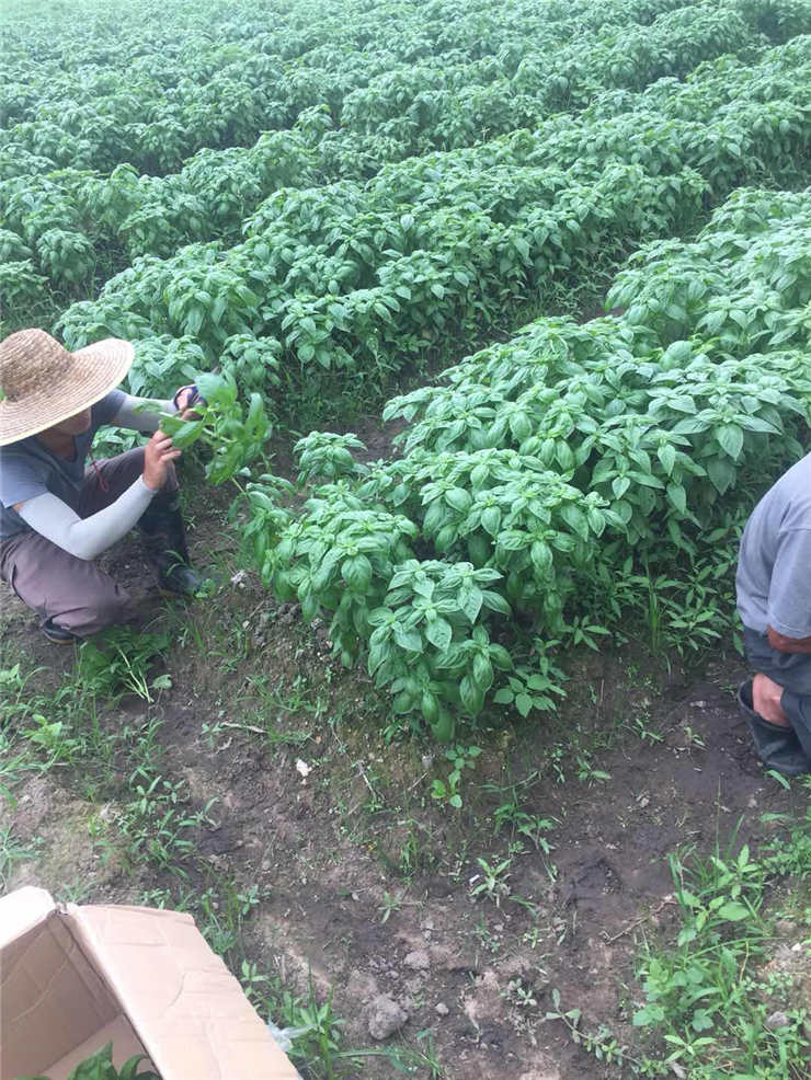 bat365(中国)在线平台官方网站-登录入口