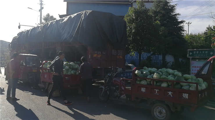 bat365(中国)在线平台官方网站-登录入口
