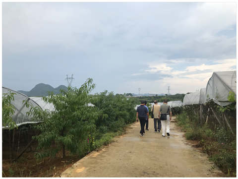 bat365(中国)在线平台官方网站-登录入口