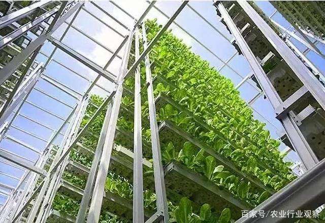 bat365(中国)在线平台官方网站-登录入口
