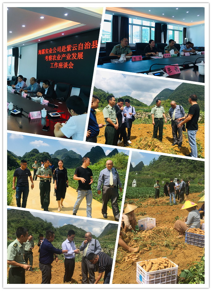 bat365(中国)在线平台官方网站-登录入口