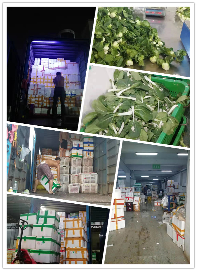 bat365(中国)在线平台官方网站-登录入口