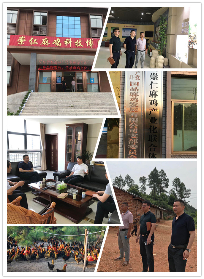 bat365(中国)在线平台官方网站-登录入口