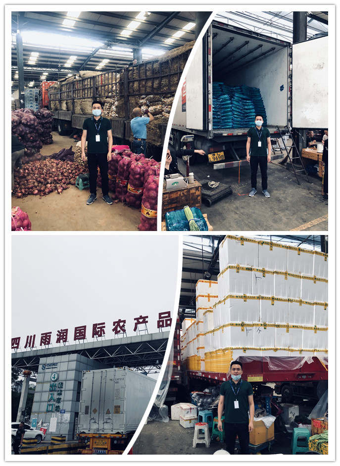 bat365(中国)在线平台官方网站-登录入口