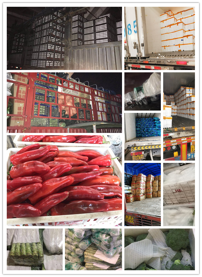 bat365(中国)在线平台官方网站-登录入口