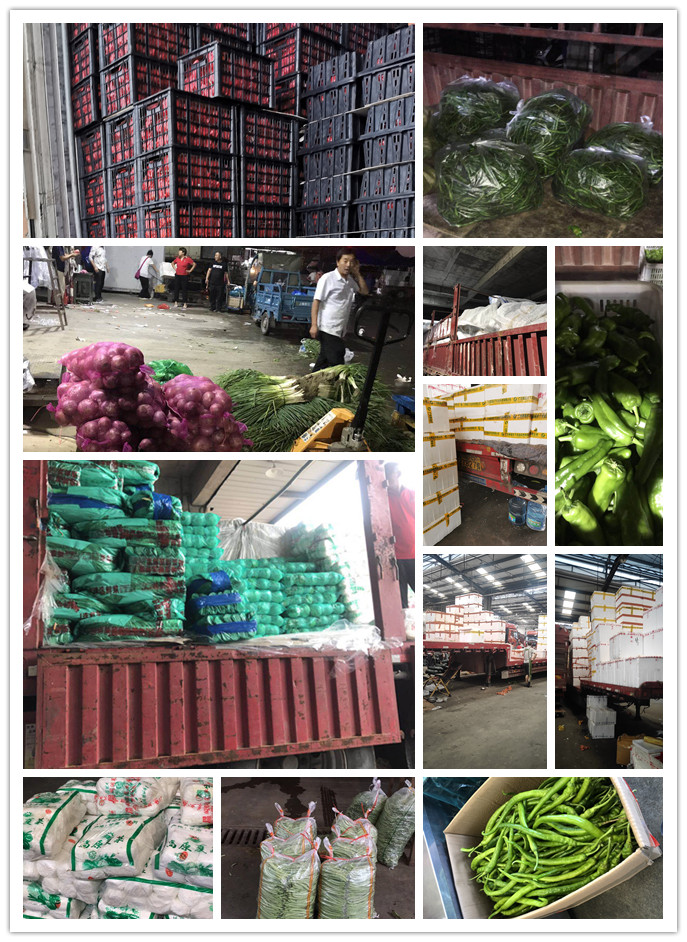 bat365(中国)在线平台官方网站-登录入口