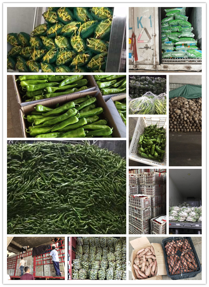 bat365(中国)在线平台官方网站-登录入口