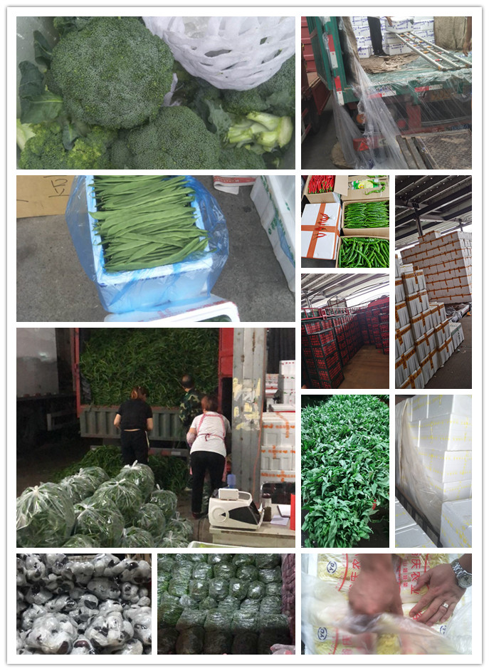 bat365(中国)在线平台官方网站-登录入口