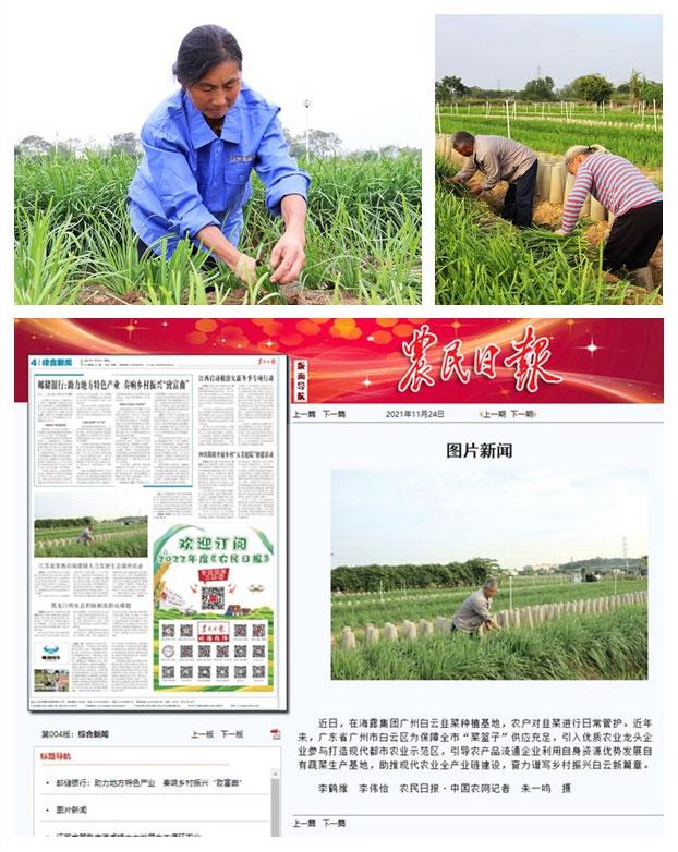 bat365(中国)在线平台官方网站-登录入口