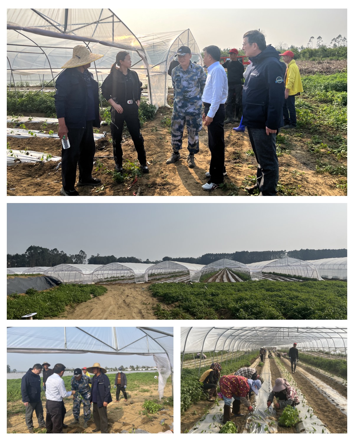 bat365(中国)在线平台官方网站-登录入口