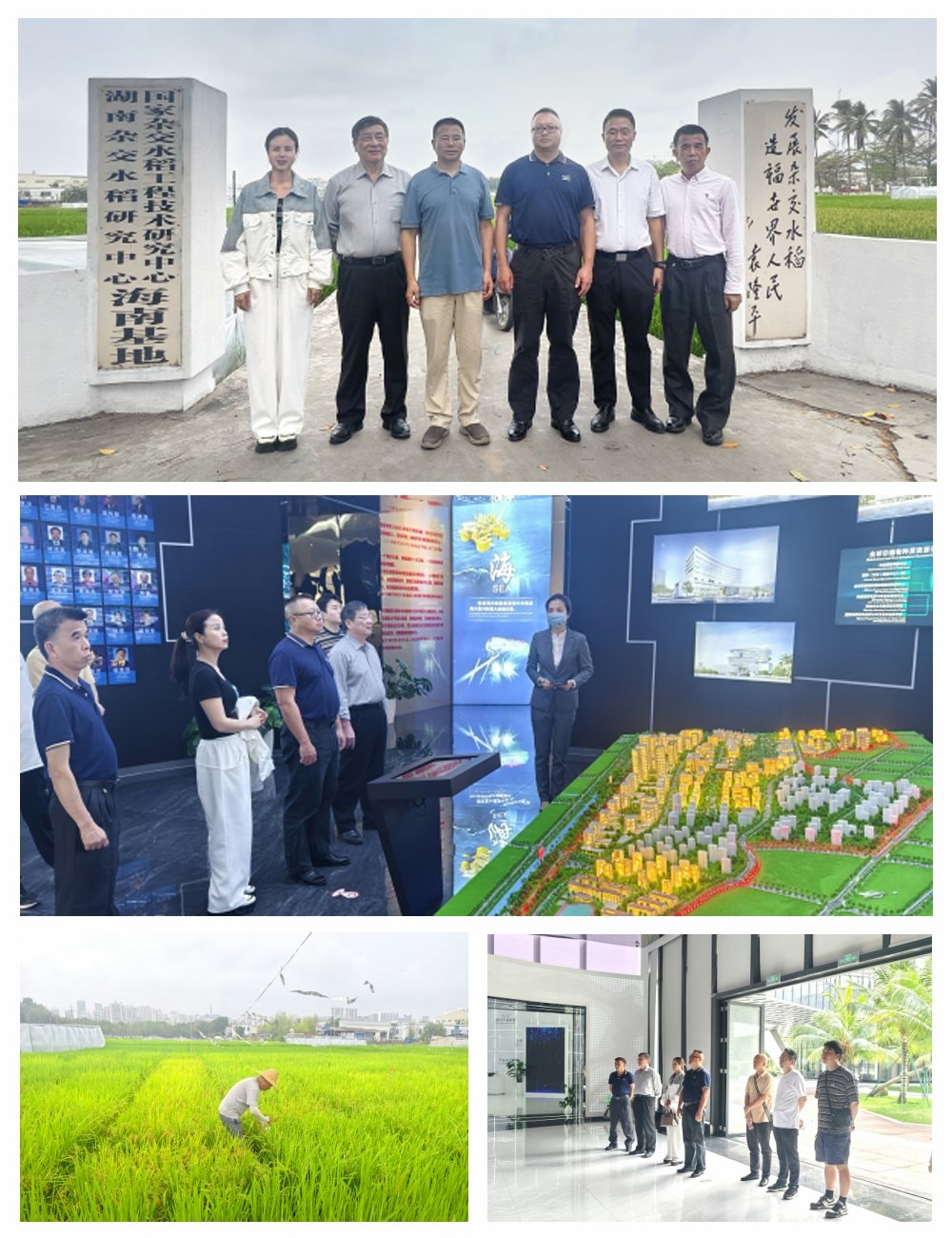 1-24031P93210I4 bat365(中国)在线平台官方网站-登录入口