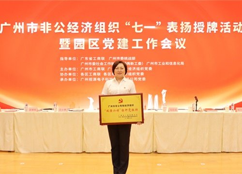 标杆引领，荣誉升级！集团党支部荣膺广州市非公有造经济组织“双强六好”标