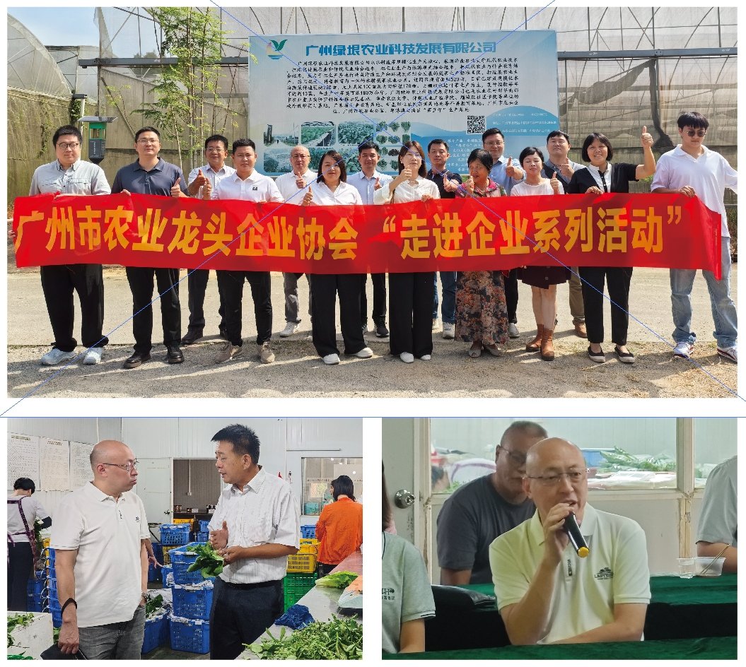 1-24101Q42051T1 bat365(中国)在线平台官方网站-登录入口