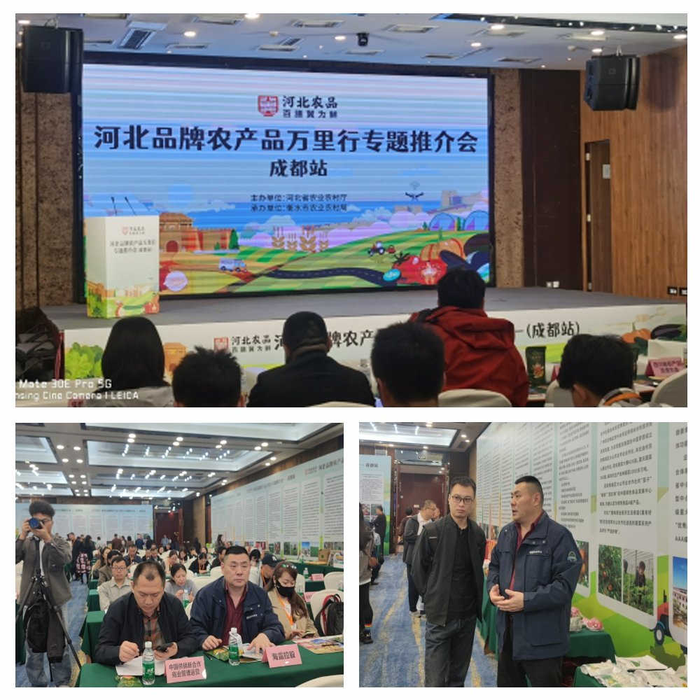 1-24102416292DM bat365(中国)在线平台官方网站-登录入口
