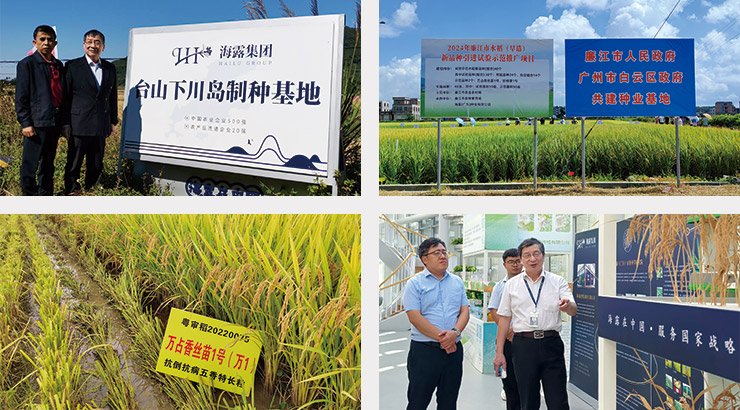 bat365(中国)在线平台官方网站-登录入口