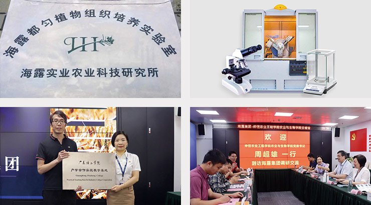 bat365(中国)在线平台官方网站-登录入口