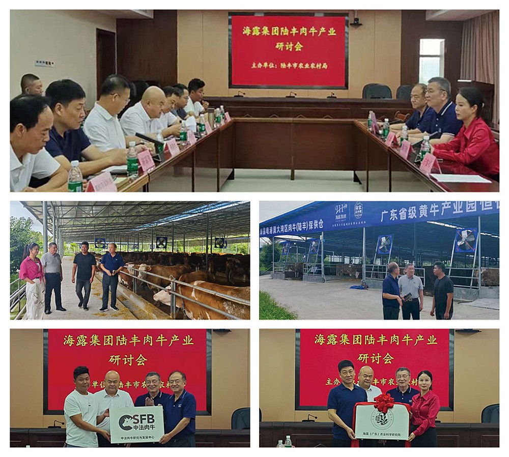 bat365(中国)在线平台官方网站-登录入口