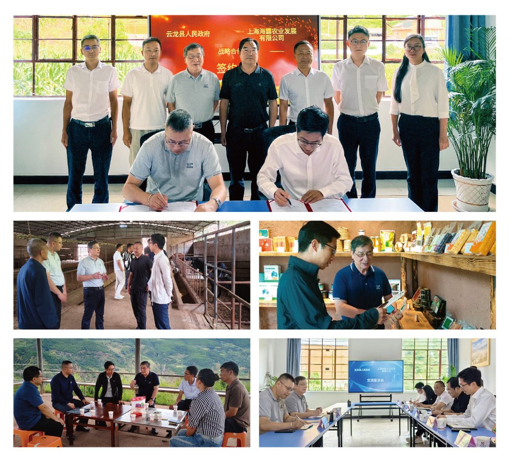 bat365(中国)在线平台官方网站-登录入口