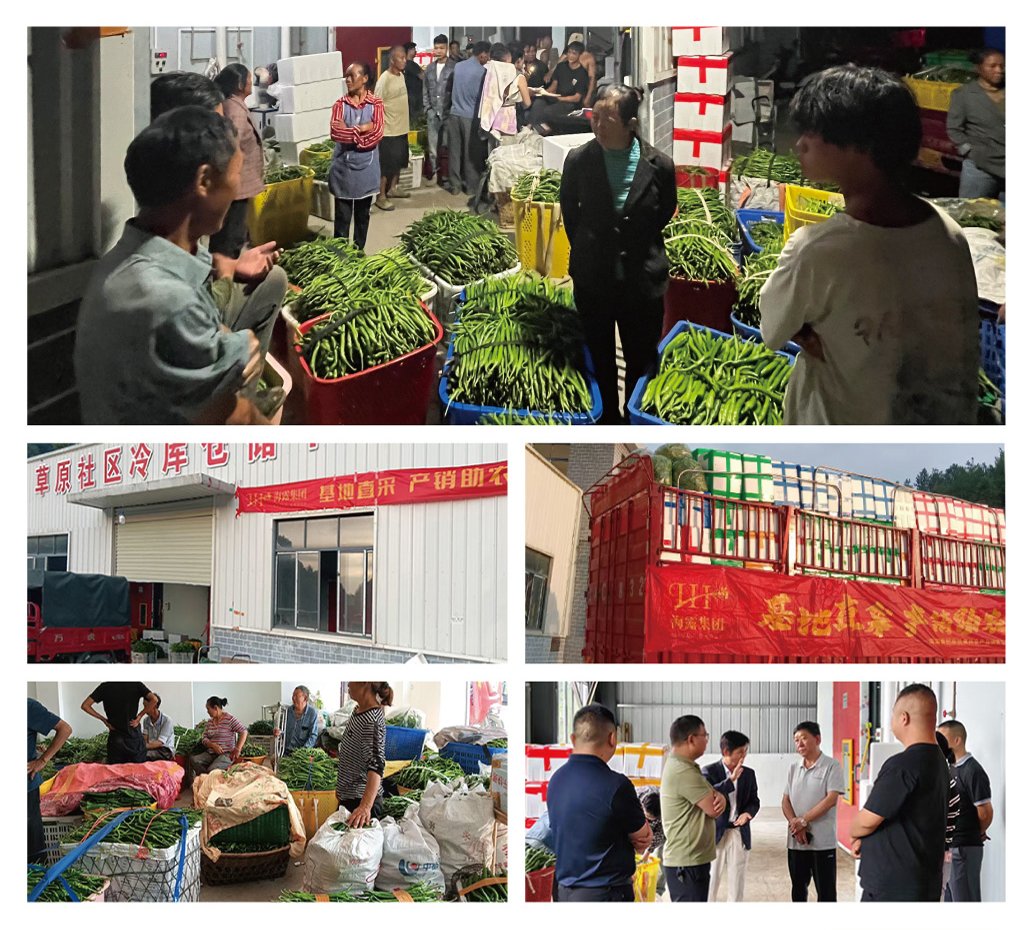 bat365(中国)在线平台官方网站-登录入口