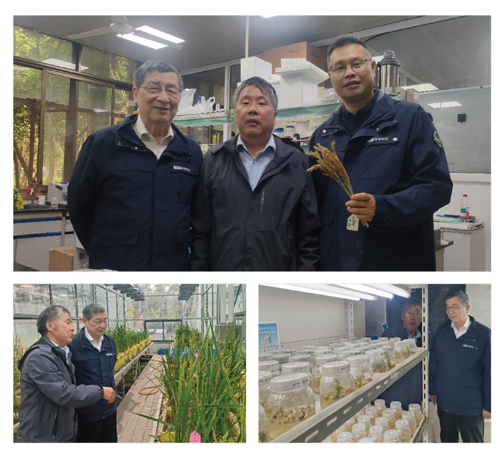bat365(中国)在线平台官方网站-登录入口