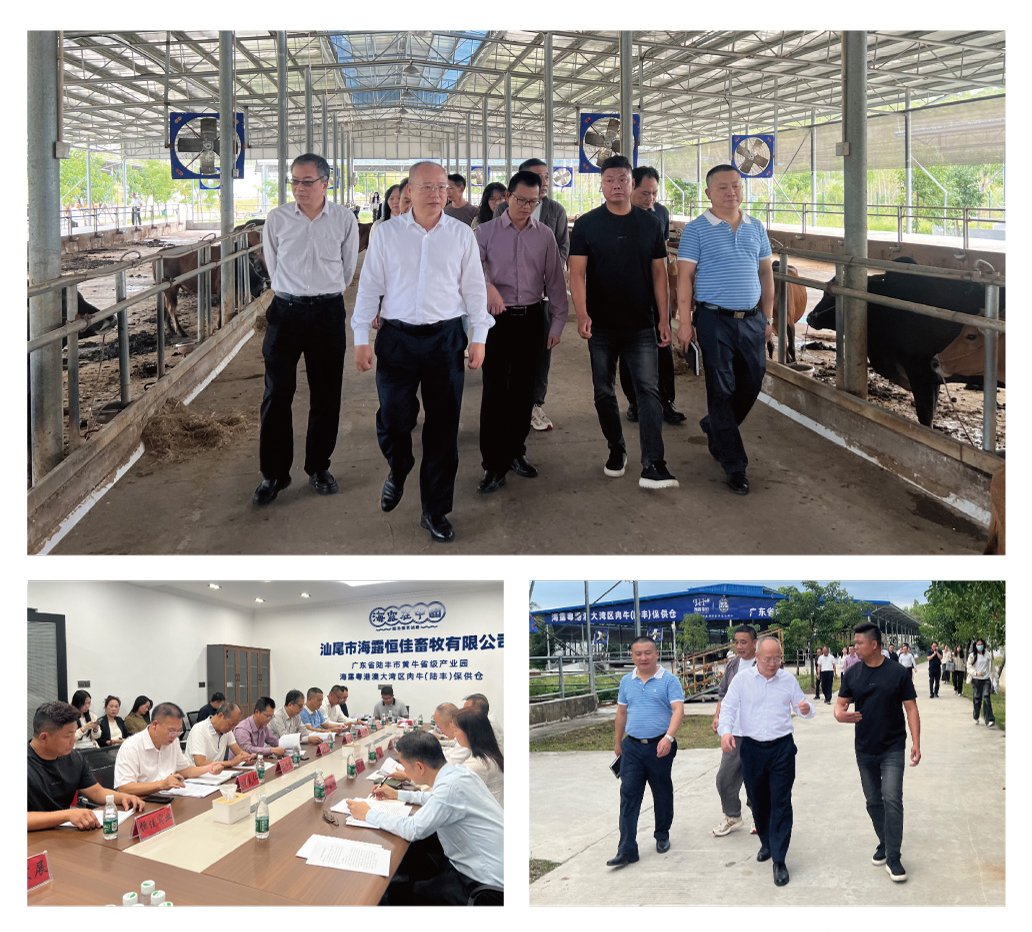 bat365(中国)在线平台官方网站-登录入口