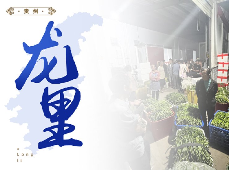 bat365(中国)在线平台官方网站-登录入口